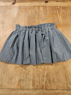 Divided Gray Pleated Mini Skirt